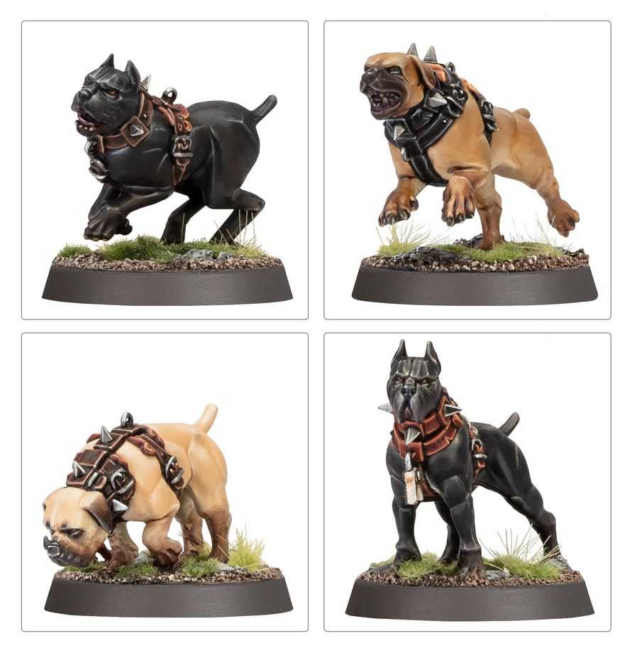 WARHAMMER Age of Sigmar: Regiment of Renown: Ven Denst's Hounds