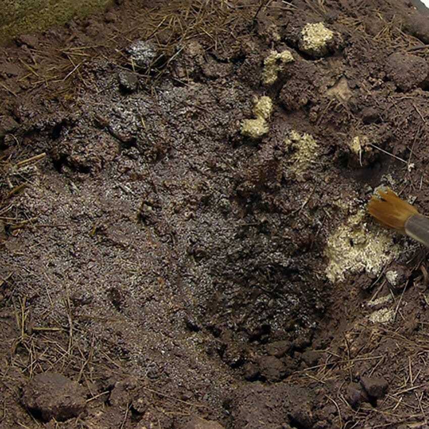 AK Interactive Dioramas: Terrains Muddy Ground - 250ml