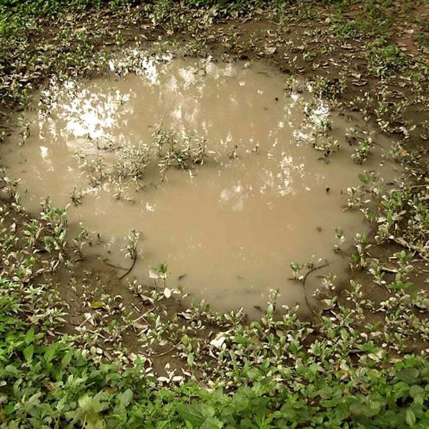 AK Interactive Dioramas: Puddles - 60ml (Acrylic)