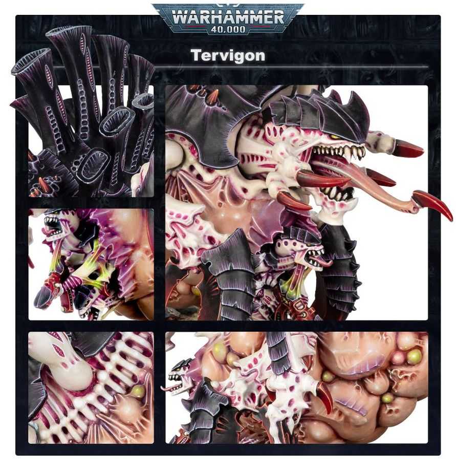 WARHAMMER 40K Tyranids: Tyrannofex / Tervigon