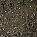 AK Interactive Dioramas: Terrains Wet Ground  - 250ml