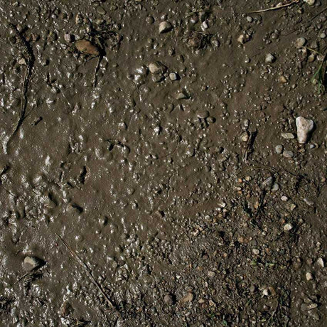 AK Interactive Dioramas: Terrains Wet Ground  - 250ml