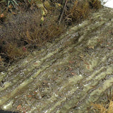 AK Interactive Dioramas: Terrains Wet Ground  - 250ml
