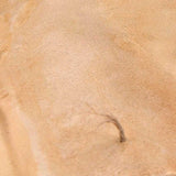 AK Interactive Dioramas: Terrains Sandy Desert  - 250ml